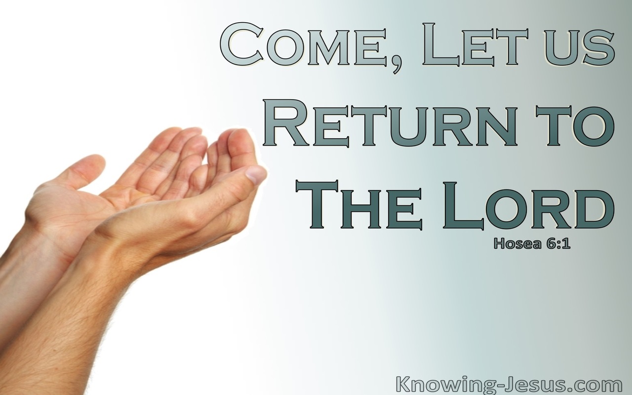 Hosea 6:1 Come, Let Us Return To The Lord (sage)